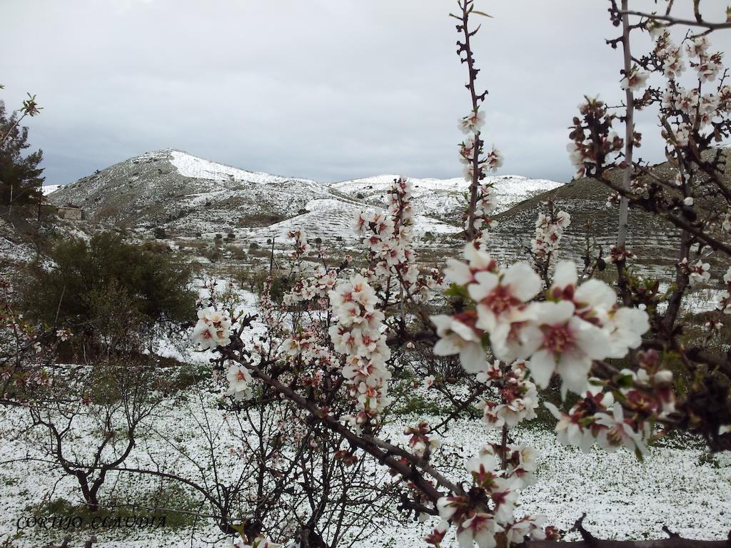 Cortijo Claudia Pensionat Taberno Eksteriør billede
