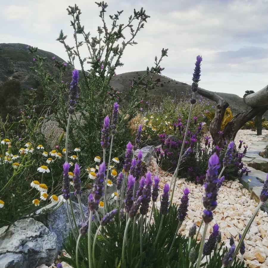 Cortijo Claudia Pensionat Taberno Eksteriør billede